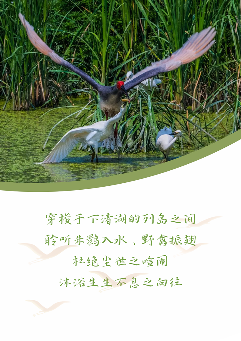 心心念廿 相伴尊龙凯时人生就博 | 与德清相约 贺廿载诞辰